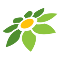 TOKOPEDIA ADA PAYLATER
